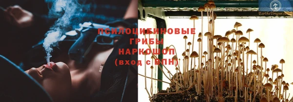 твердый Абинск