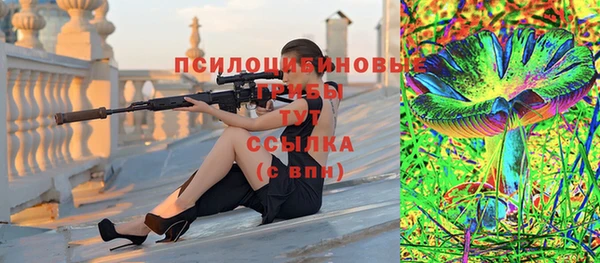 PSILOCYBIN Абаза