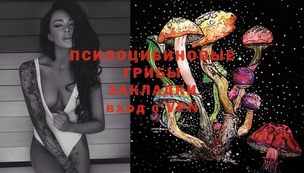 apvp Алексеевка