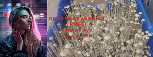 PSILOCYBIN Абаза