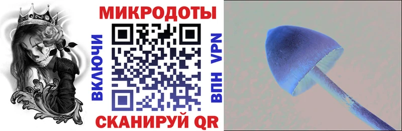 Псилоцибиновые грибы Psilocybe  Усть-Лабинск 
