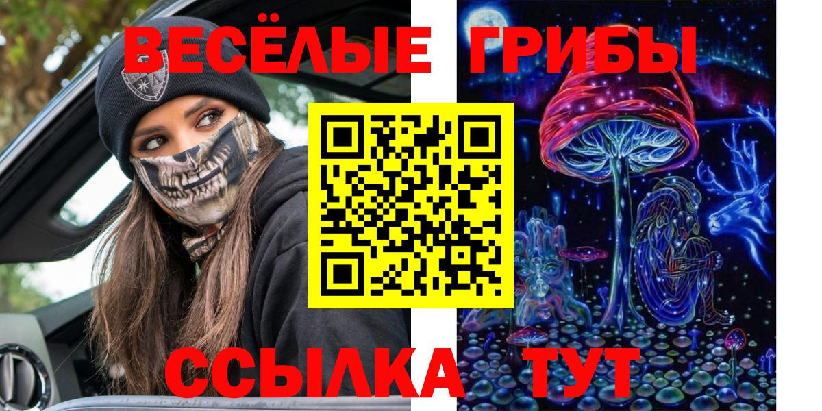 Усть-Лабинск  Галлюциногенные грибы прущие грибы  Псилоцибиновые грибы прущие грибы  Вход с VPN 