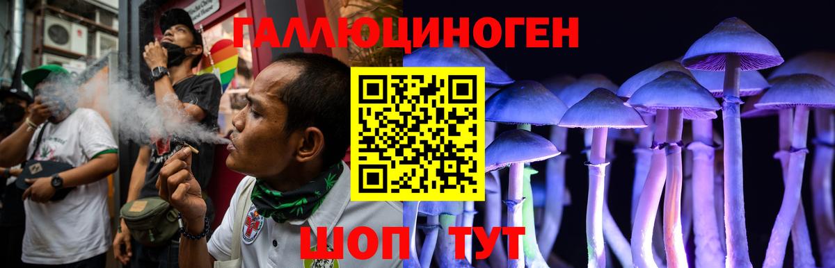 Псилоцибиновые грибы Psilocybe Усть-Лабинск
